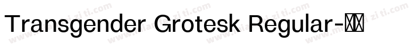 Transgender Grotesk Regular字体转换